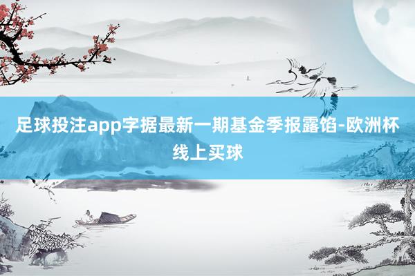 足球投注app字据最新一期基金季报露馅-欧洲杯线上买球