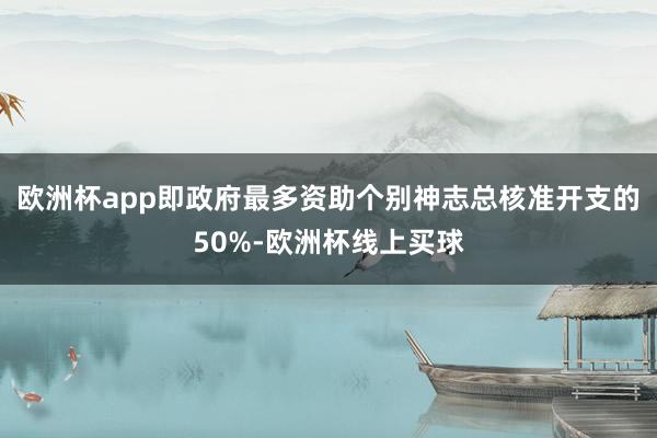 欧洲杯app即政府最多资助个别神志总核准开支的50%-欧洲杯线上买球