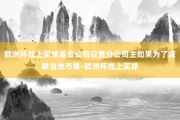 欧洲杯线上买球基金公司设置分公司主如果为了深耕当地市集-欧洲杯线上买球