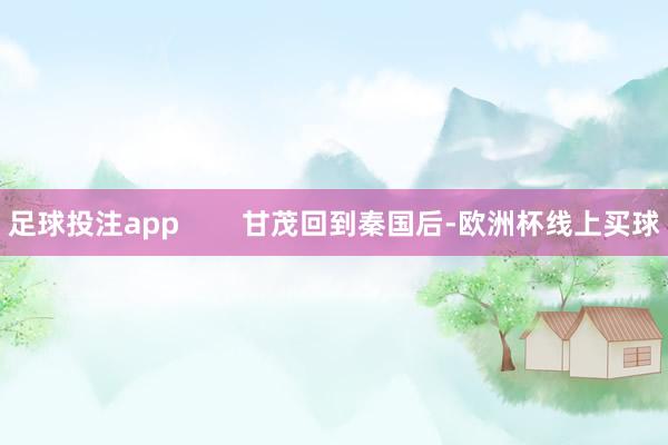 足球投注app        甘茂回到秦国后-欧洲杯线上买球