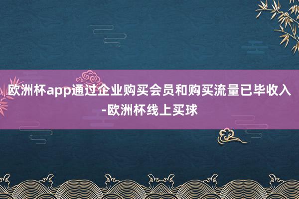 欧洲杯app通过企业购买会员和购买流量已毕收入-欧洲杯线上买球