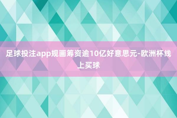 足球投注app规画筹资逾10亿好意思元-欧洲杯线上买球