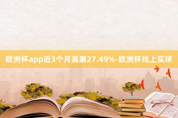 欧洲杯app近3个月高潮27.49%-欧洲杯线上买球