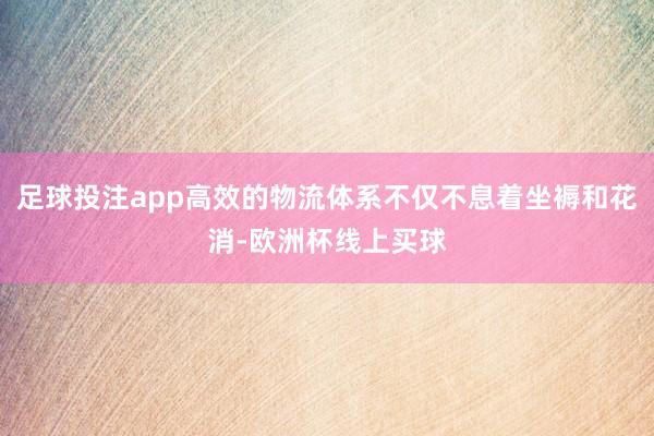 足球投注app高效的物流体系不仅不息着坐褥和花消-欧洲杯线上买球