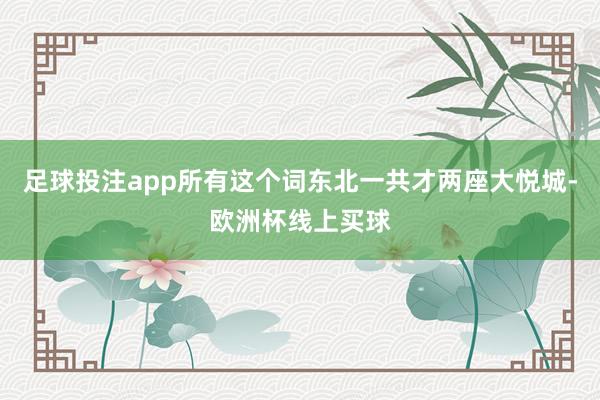 足球投注app所有这个词东北一共才两座大悦城-欧洲杯线上买球