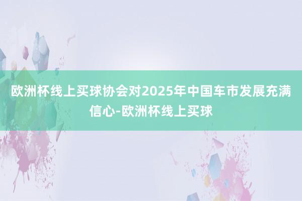 欧洲杯线上买球协会对2025年中国车市发展充满信心-欧洲杯线上买球