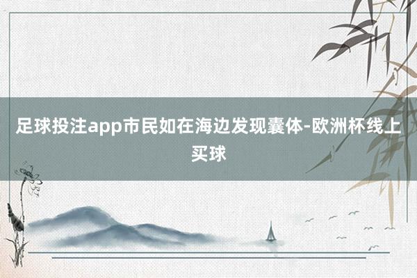 足球投注app市民如在海边发现囊体-欧洲杯线上买球