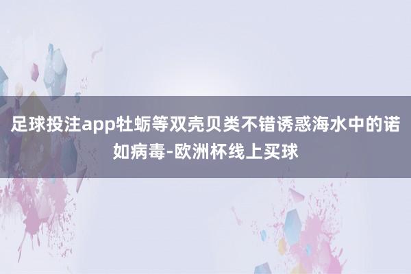 足球投注app牡蛎等双壳贝类不错诱惑海水中的诺如病毒-欧洲杯线上买球